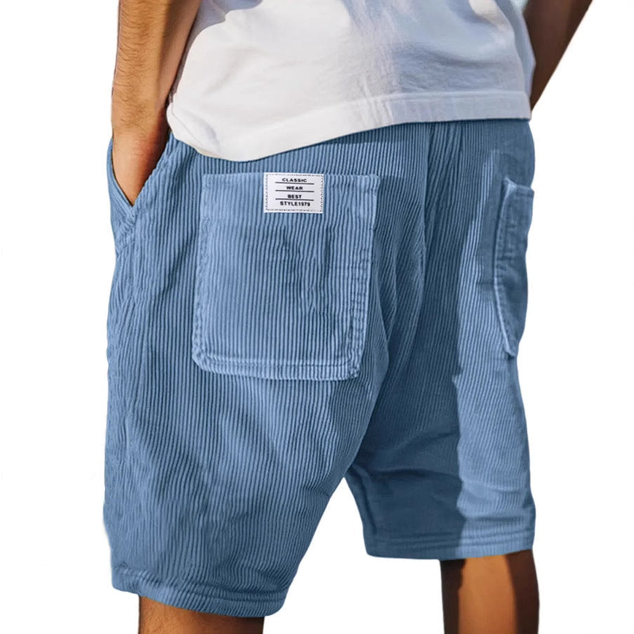 Lenoir | Short chic en velours