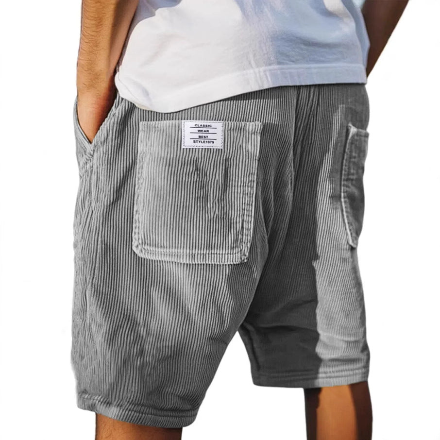 Lenoir | Short chic en velours