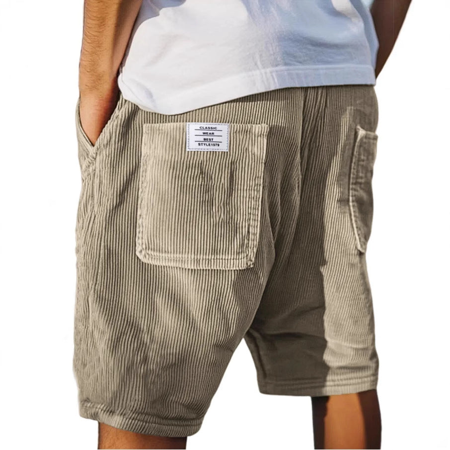 Lenoir | Short chic en velours